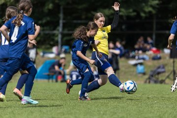 Bild 695 - Loewinnen Cup